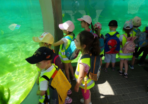 Dzieci oglądają ryby w ZOO