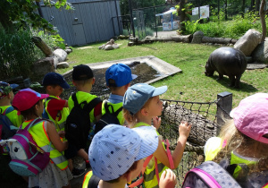 Dzieci oglądają hipopotama