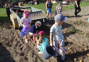 Dzieci zbierają ziemniaki