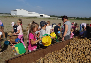 Dzieci wrzucają ziemniaki na przyczepę