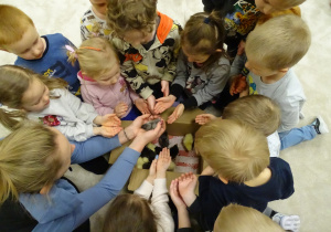 Dzieci wyciągają ręce do piskląt.