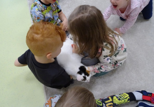 Dzieci oglądają kota.
