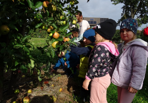 Dzieci oglądają jabłka na drzewach