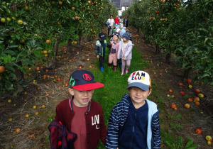 Dzieci spacerują pomiędzy jabłonkami