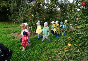 Dzieci spacerują pomiędzy jabłonkami