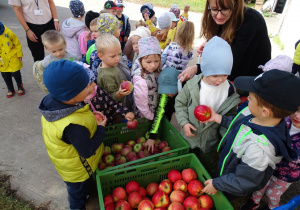 Dzieci częstują się jabłkami