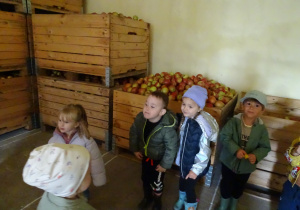 15 Dzieci oglądają chłodnię z jabłkami