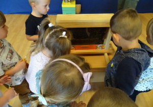 Dzieci oglądają pszczoły