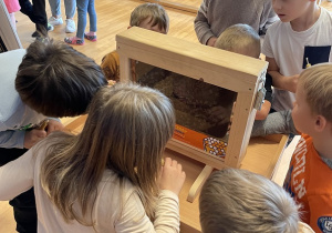 Dzieci oglądają pszczoły.