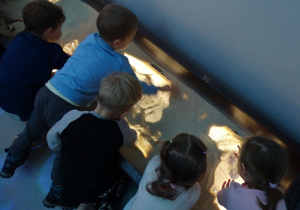 Dzieci szukają pod piaskiem skarbów.