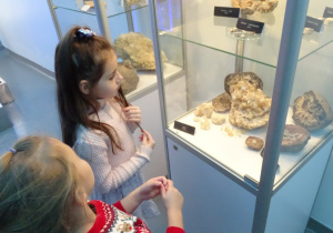 Dzieci oglądają skamieliny.