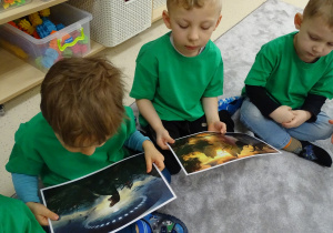 13 Chłopcy oglądają obrazki z dinozaurami