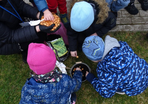 dzieci sadzą cebulę
