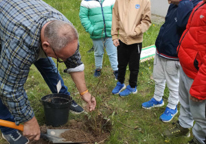 Pan Adam pomaga dzieciom wsadzić drzewko