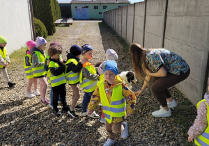 Dzieci stoją w kolejce do rzucania pieskowi patyka