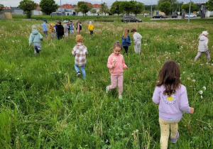 Dzieci szukają owadów i kwiatów na łące