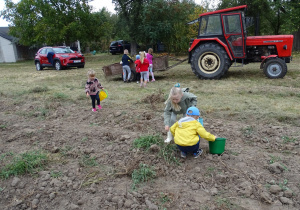 dzieci zbierają ziemniaki