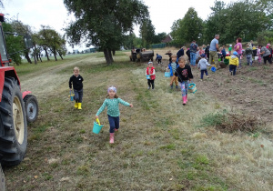 dzieci zbierają ziemniaki