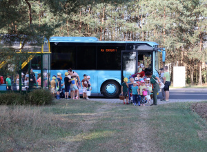 Wykopki Grupy Motyli i Sówek