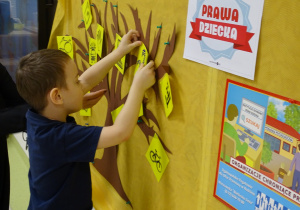 19 Dzieci zawieszają symbole na drzewie praw dziecka