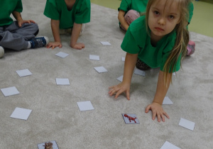 71 Dzieci grają w memory z obrazkami dinozaurów