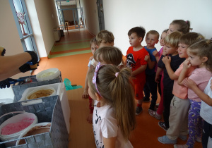 Sówki czekają na lody