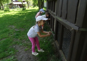 Zdjęcie 1 na 72