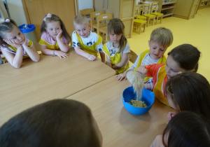 Blania sypie płatki do miski