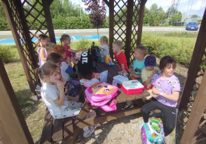 Zdjęcie 95 na 99