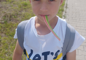 Zdjęcie 97 na 99