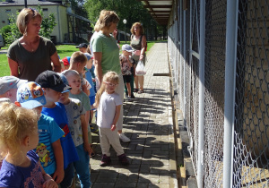 Oglądanie zwierząt