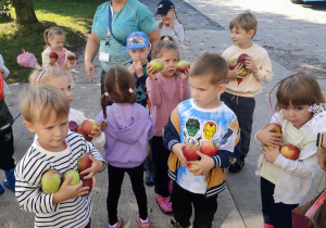 Zdjęcie 3 na 44