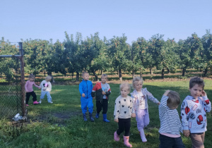 Zdjęcie 9 na 44