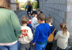 Zdjęcie 27 na 44