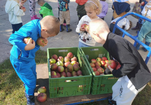 Zdjęcie 22 na 44