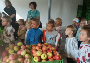 Zdjęcie 30 na 44