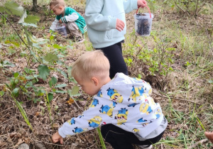 Dzieci zbierają w lasku dary jesieni.