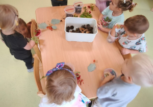 Dzieci rozdzielają dary jesieni do wspólnego kosza.