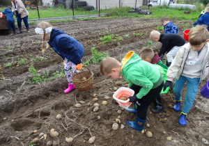 06 Wszyscy zabrali się do pracy