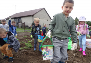 07 Dzieci zbierały ziemniaki do swoich wiaderek i koszyków