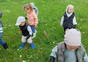 Zdjęcie 5 na 47