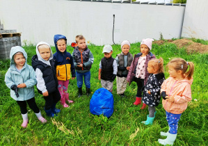 Zdjęcie 7 na 47