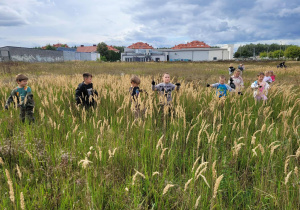 Zdjęcie 36 na 47