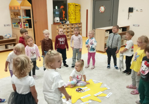 Zdjęcie 6 na 12