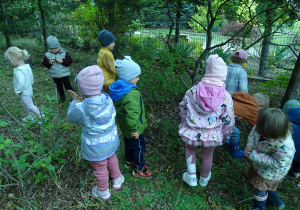 dzieci szukają darów jesieni