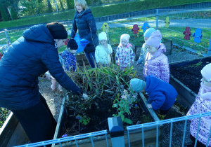 sprzątanie ogródka