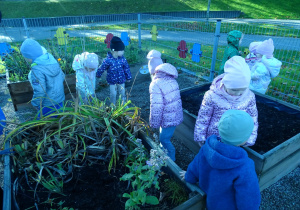 sprzątanie ogródka