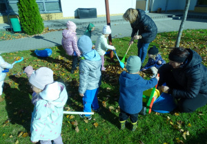 sprzątanie liści