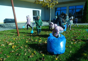 zagrabianie liści