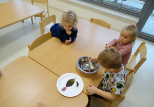 dzieci wyciągają liście z wody spinaczami